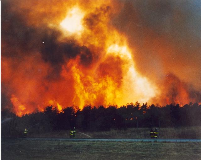 1995 Suffolk Wildfires